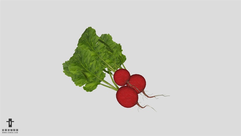 SketchUp高精度萝卜模型草图大师水果蔬菜模型下载-009SKP模型