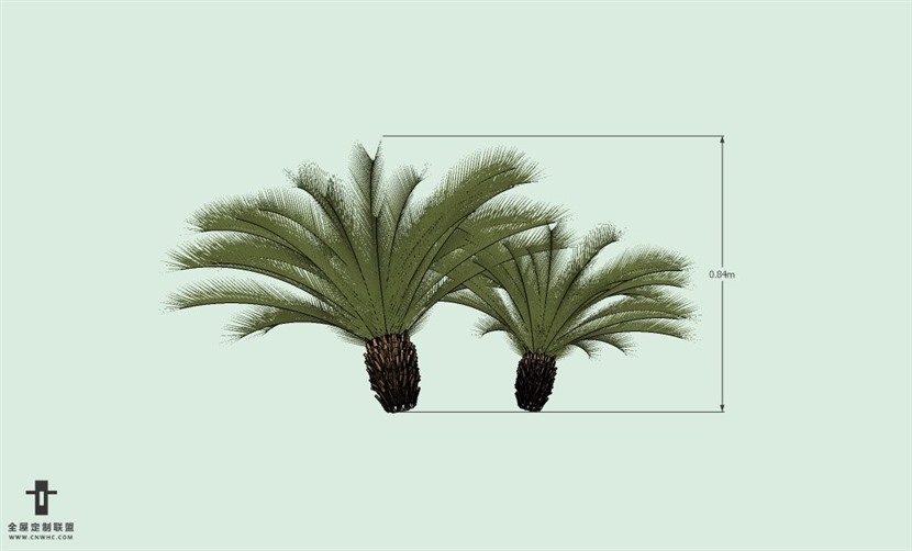 SketchUp草图大师户外植物棕榈树SU模型-Palm tree 025SKP模型