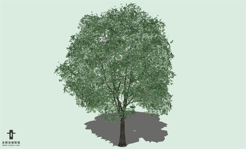 SketchUp草图大师户外植物SU模型下载012SKP模型