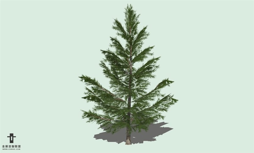 SketchUp草图大师户外植物树木SU模型下载044SKP模型