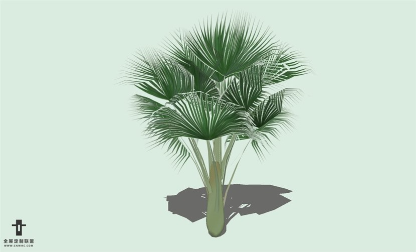 SketchUp草图大师户外植物树木SU模型下载063SKP模型
