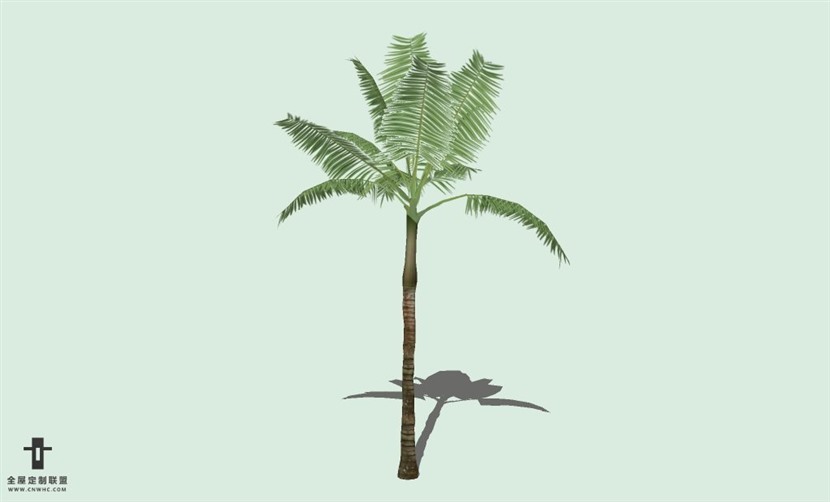 SketchUp草图大师户外植物树木SU模型下载064SKP模型