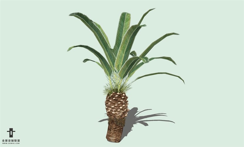 SketchUp草图大师户外植物树木SU模型下载068SKP模型