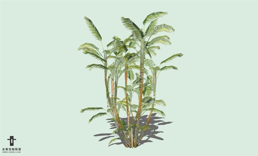 SketchUp草图大师户外植物树木SU模型下载069SKP模型