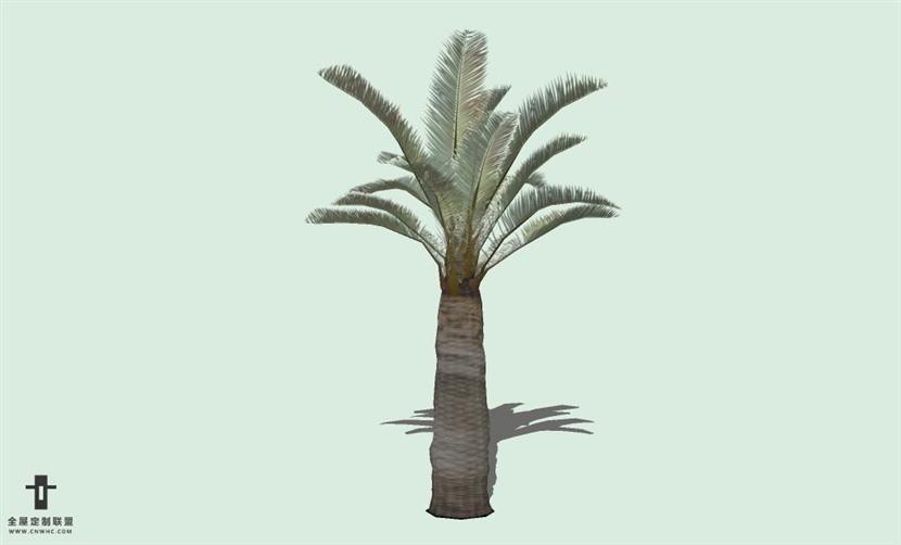 SketchUp草图大师户外植物树木SU模型下载070SKP模型