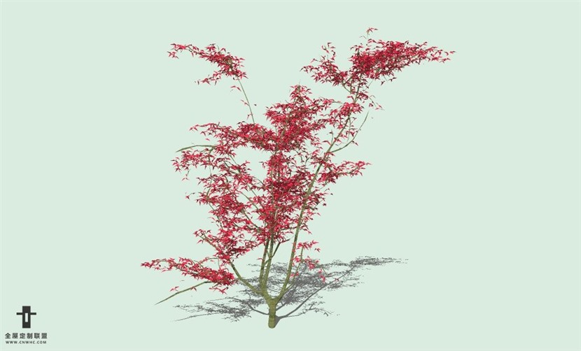 SketchUp草图大师户外植物树木SU模型下载073SKP模型