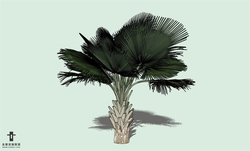 SketchUp草图大师户外植物树木SU模型下载075SKP模型