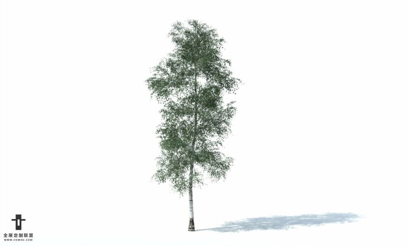 SketchUp草图大师户外景观植物树木SU模型下载105SKP模型