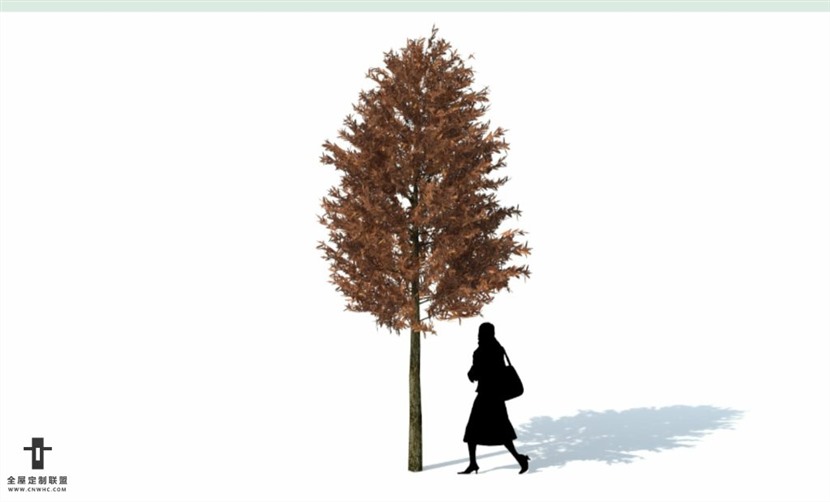 SketchUp草图大师户外景观植物树木SU模型下载162SKP模型