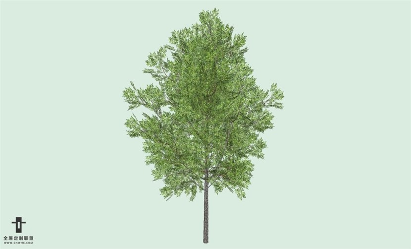 SketchUp草图大师户外景观植物树木SU模型下载202SKP模型