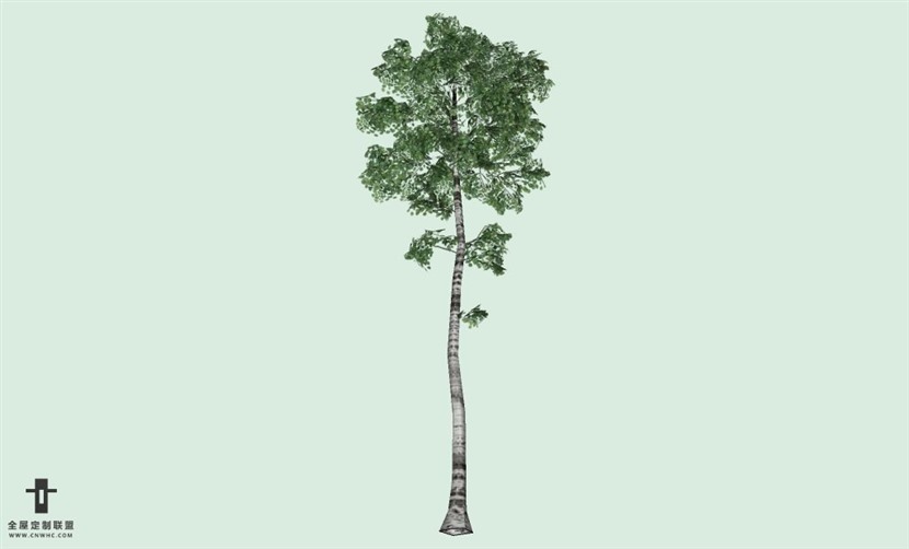SketchUp草图大师户外景观植物树木SU模型下载219SKP模型