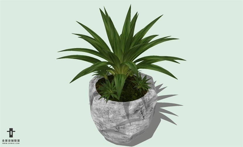 SketchUp草图大师室内植物盆景花草盆栽SU模型下载plants-046SKP模型