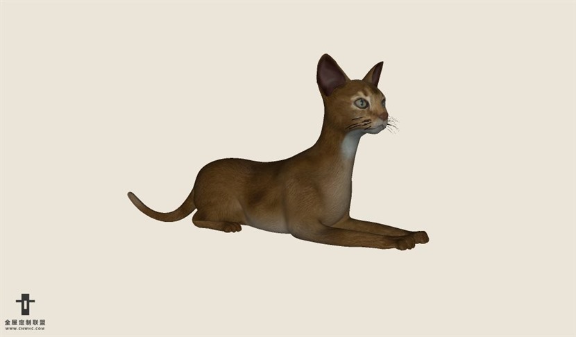 动物猫SketchUp模型库草图大师模型下载Animais-043