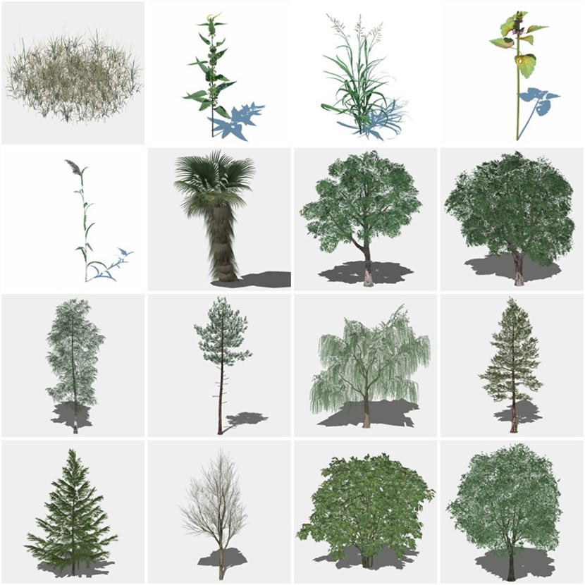 园林景观sketchup户外植物模型su室外植物模型下载013 3 草图联盟网