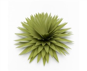 Vray景观植物草图大师模型野花小草SU模型下载002