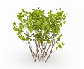 Vray景观植物草图大师模型野树SU模型下载003