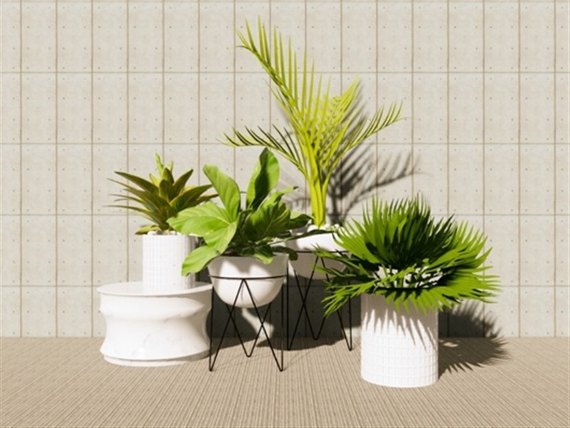 Enscape模型草图大师植物盆栽组合SU模型下载0143