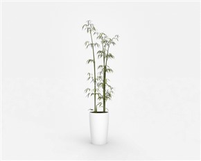 Vray盆栽植物草图大师模型盆景装饰摆设SU模型下载011