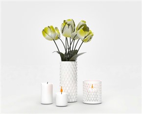 Vray郁金香草图大师模型植物盆栽摆设SU模型下载032