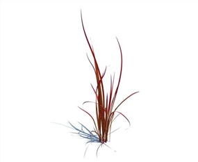 Vray景观植物SketchUp模型库农作物花草SU模型下载065