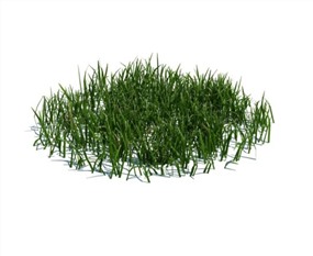 Vray景观植物SketchUp模型库青草SU模型下载079