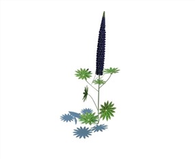 Vray景观植物SketchUp模型库油野花SU模型下载102