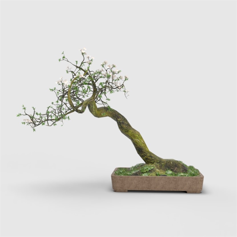 Vray材质植物花卉草图大师盆栽模型下载0138