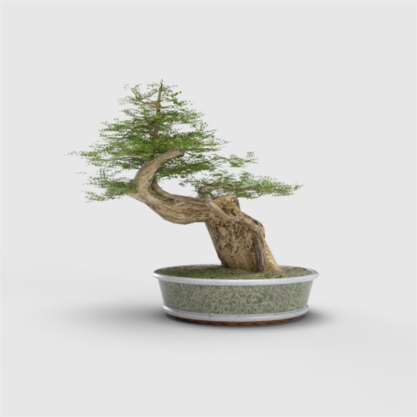 Vray材质植物花卉草图大师盆栽模型下载0140