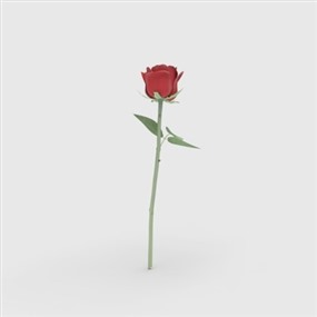 Vray for SketchUp饰品摆设花瓶草图大师模型下载381