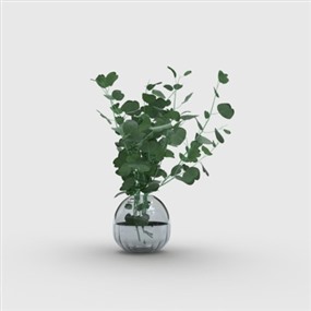 Vray for SketchUp盆栽植物草图大师模型下载054