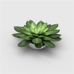 Vray for SketchUp盆栽植物草图大师模型下载059
