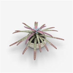 Vray材质盆栽植物SketchUp草图大师模型下载153