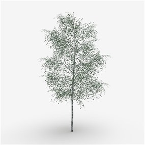 Vray&Enscape双材质景观植物树SketchUp模型下载030