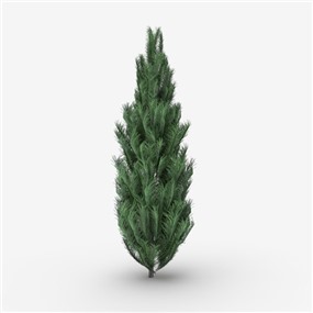 Vray&Enscape双材质景观植物树SketchUp模型下载136