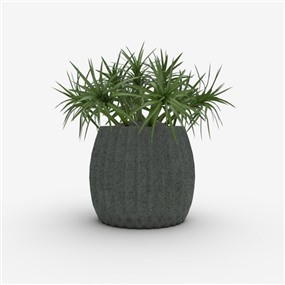 Vray材质盆栽植物SketchUp草图大师模型下载184