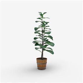 Vray材质盆栽植物SketchUp草图大师模型下载191