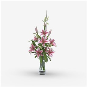 Vray材质鲜花饰品摆设SketchUp草图大师模型下载068