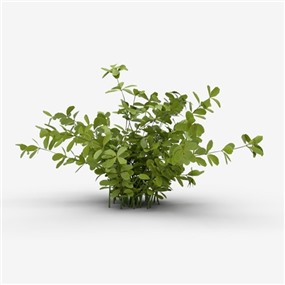 Vray&Enscape双材质景观灌木植物SketchUp模型下载054