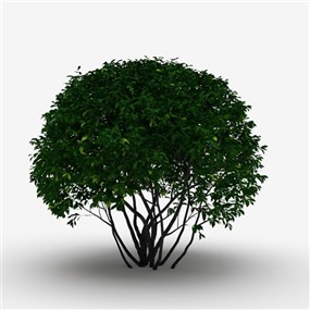 Vray&Enscape双材质景观灌木植物SketchUp模型下载121