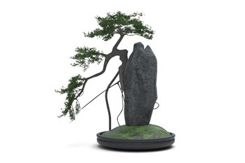 双材质盆景SketchUp草图大师模型下载002