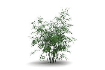 竹子SketchUp草图大师模型下载008