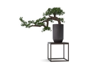 盆景SketchUp草图大师模型下载032