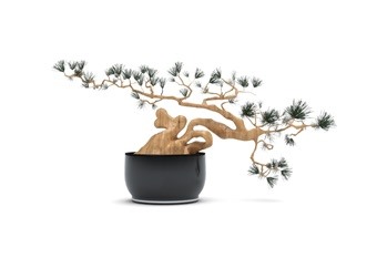盆景SketchUp草图大师模型下载034