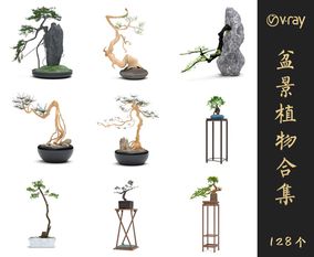 Vray材质盆景植物SketchUp模型库草图大师模型VOL.011