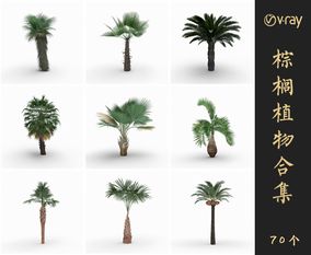 Vray材质景观棕榈植物SketchUp模型库草图大师模型VOL.013