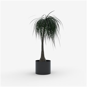 Vray材质盆栽植物SketchUp草图大师模型下载381