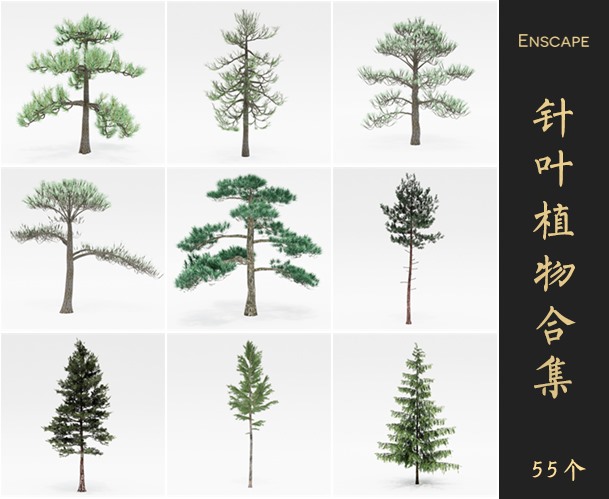 Enscape针叶乔木SketchUp模型库草图大师SU模型VOL.070