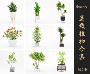 Enscape盆栽植物SketchUp模型库草图大师SU模型VOL.074