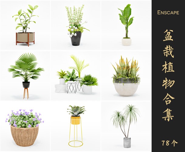 Enscape盆栽植物SketchUp模型库草图大师SU模型VOL.075