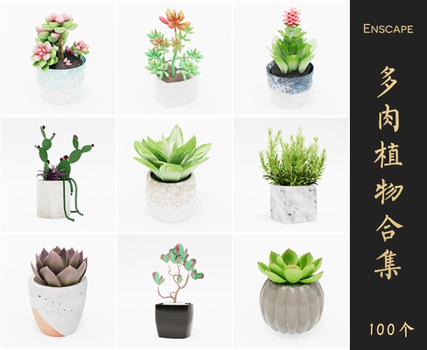 Enscape多肉植物SketchUp模型库草图大师SU模型VOL.079